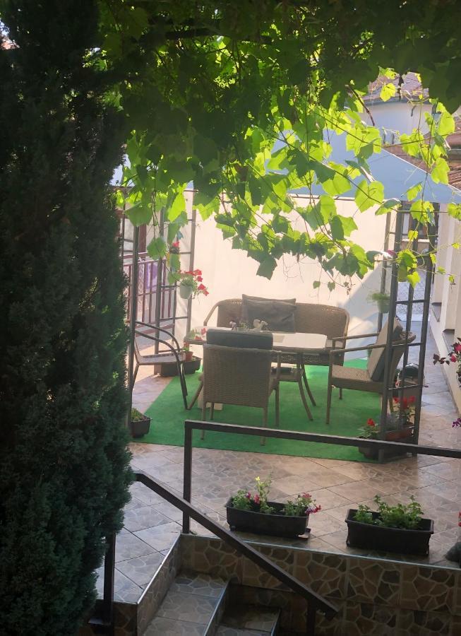 Siesta * Sarajevo