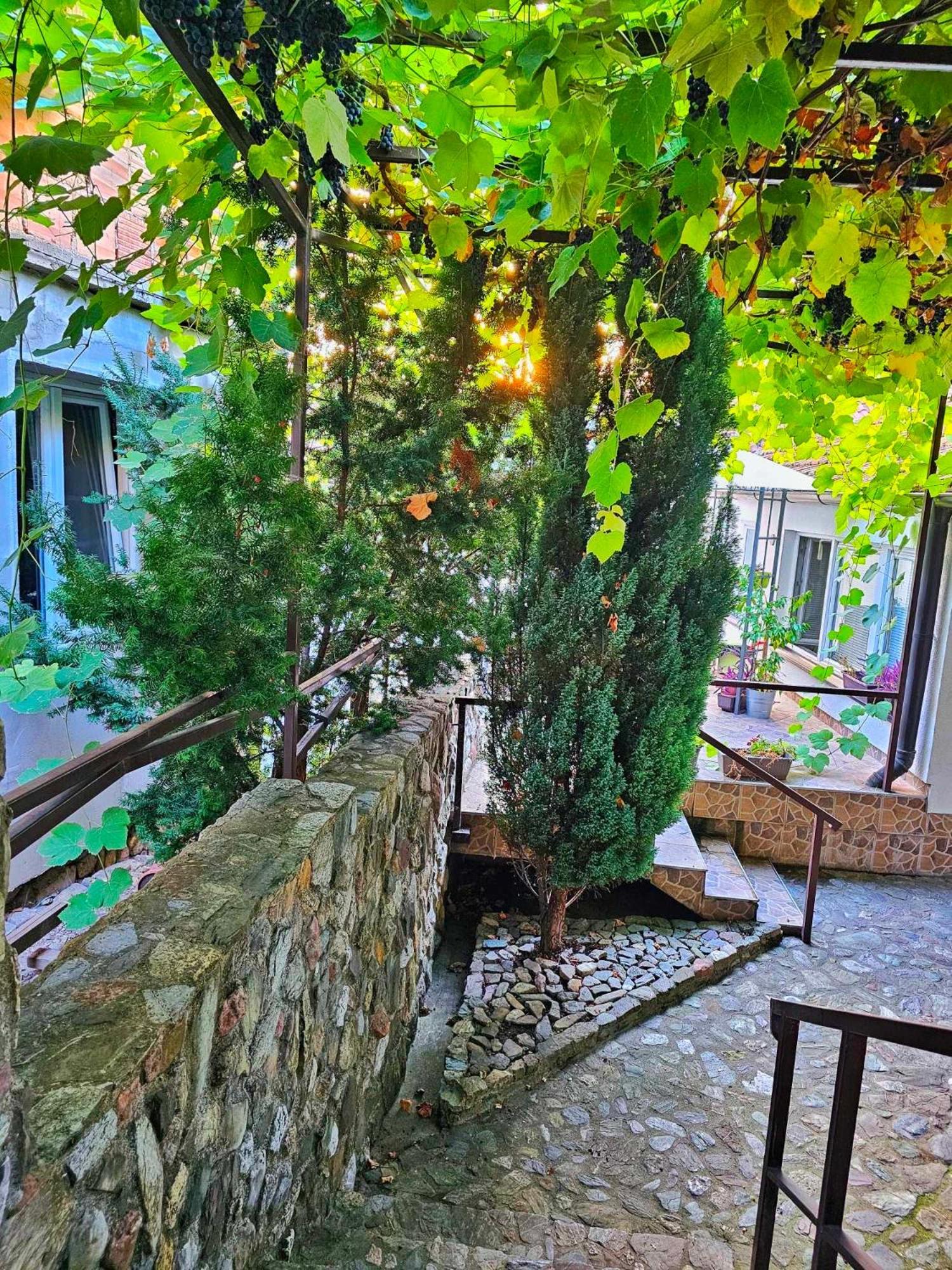 Siesta Apartment *